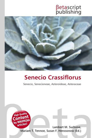 Senecio Crassiflorus