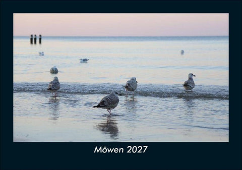 Möwen 2027 Fotokalender DIN A5