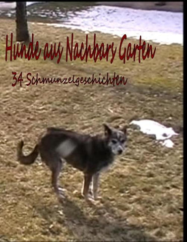 Hunde aus Nachbar's Garten