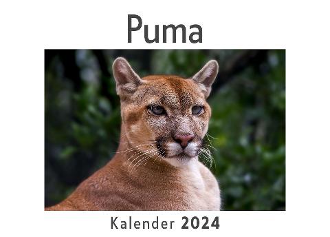 Puma (Wandkalender 2024, Kalender DIN A4 quer, Monatskalender im Querformat mit Kalendarium, Das perfekte Geschenk)