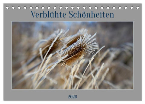 Verblühte Schönheiten (Tischkalender 2026 DIN A5 quer), CALVENDO Monatskalender