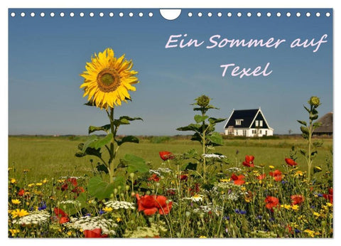 Ein Sommer auf Texel (Wandkalender 2026 DIN A4 quer), CALVENDO Monatskalender