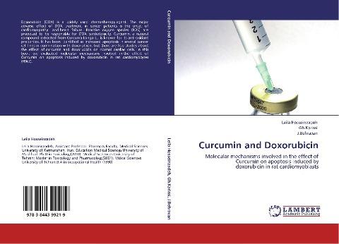 Curcumin and Doxorubicin