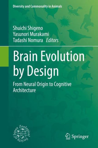 Brain Evolution by Design
