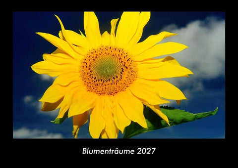 Blumenträume 2027 Fotokalender DIN A3