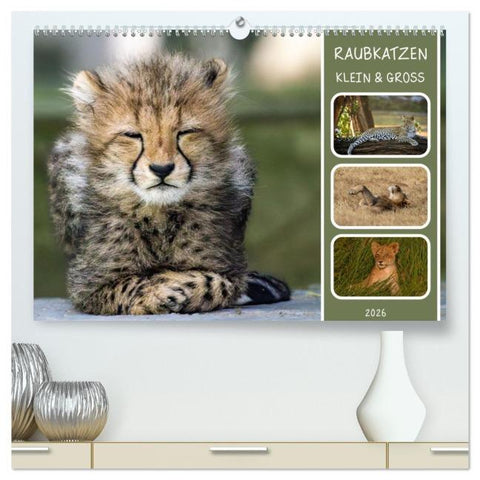 Raubkatzen - groß & klein (hochwertiger Premium Wandkalender 2026 DIN A2 quer), Kunstdruck in Hochglanz