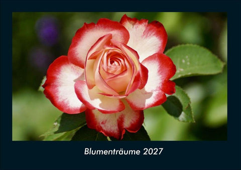 Blumenträume 2027 Fotokalender DIN A4