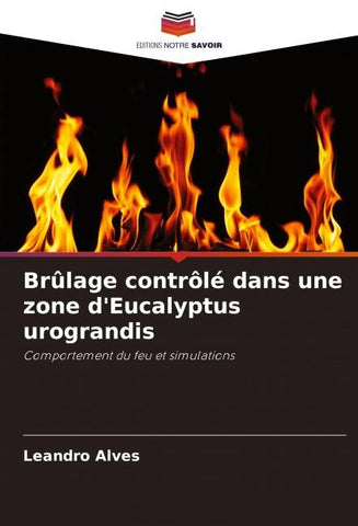 Brûlage contrôlé dans une zone d'Eucalyptus urograndis