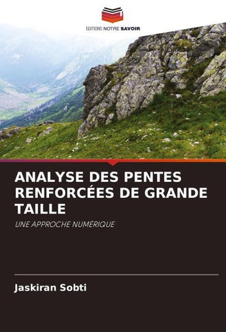 ANALYSE DES PENTES RENFORCÉES DE GRANDE TAILLE