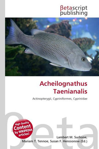 Acheilognathus Taenianalis