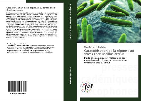 Caractérisation de la réponse au stress chez Bacillus cereus