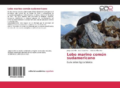 Lobo marino común sudamericano