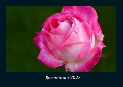 Rosentraum 2027 Fotokalender DIN A4