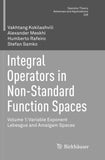 Integral Operators in Non-Standard Function Spaces