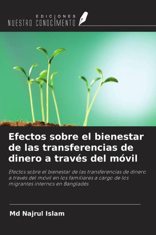 Efectos sobre el bienestar de las transferencias de dinero a través del móvil
