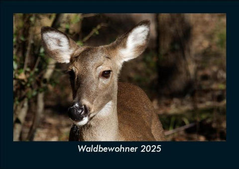 Waldbewohner 2025 Fotokalender DIN A5