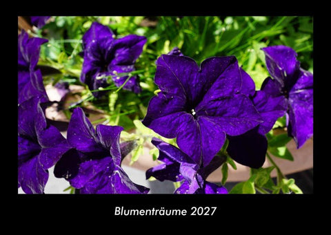 Blumenträume 2027 Fotokalender DIN A3