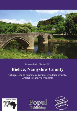 Bielice, Namys¿ów County