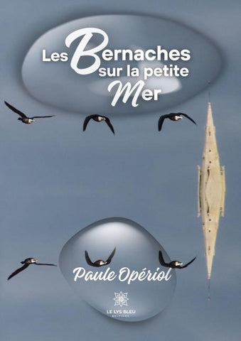 Les bernaches sur la petite mer