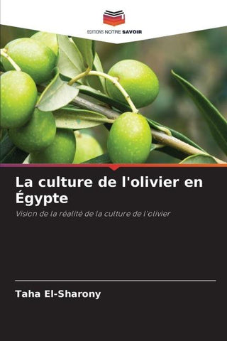 La culture de l'olivier en Égypte