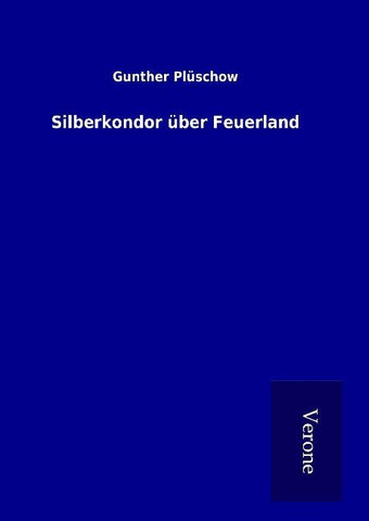 Silberkondor über Feuerland