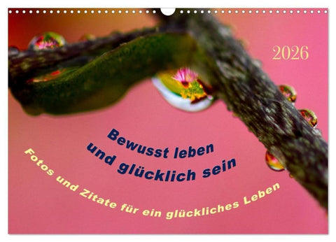 Bewusst leben und glücklich sein (Wandkalender 2026 DIN A3 quer), CALVENDO Monatskalender