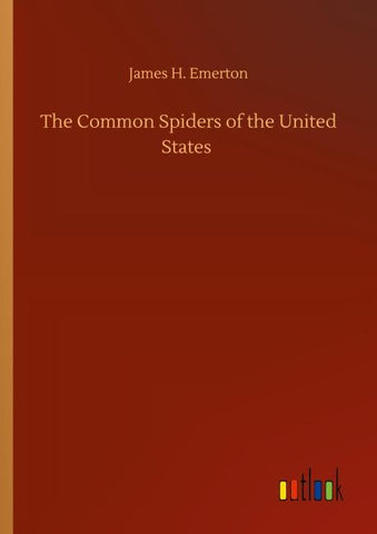 The Common Spiders of the United States