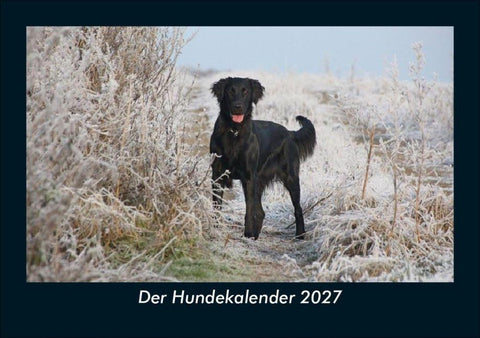 Der Hundekalender 2027 Fotokalender DIN A5