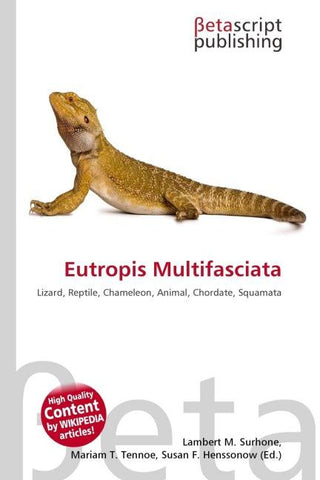 Eutropis Multifasciata