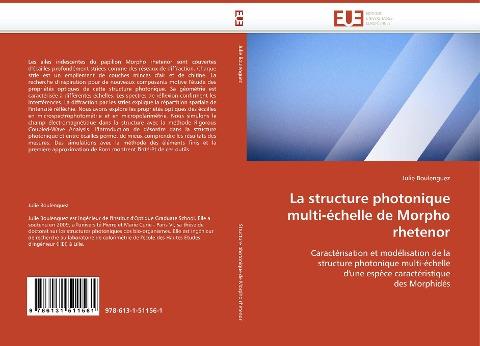 La structure photonique multi-échelle de Morpho rhetenor