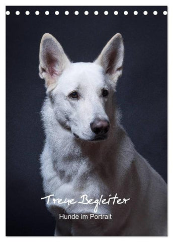 Treue Wegbegleiter, Hunde im Portrait. (Tischkalender 2026 DIN A5 hoch), CALVENDO Monatskalender