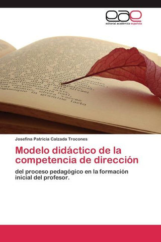 Modelo didáctico de la competencia de dirección