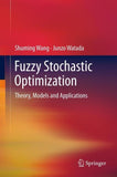 Fuzzy Stochastic Optimization