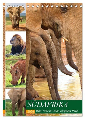 SÜDAFRIKA Wild-Tiere im Addo Elephant Park (Tischkalender 2026 DIN A5 hoch), CALVENDO Monatskalender