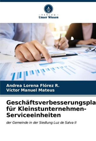 Geschäftsverbesserungsplan für Kleinstunternehmen-Serviceeinheiten