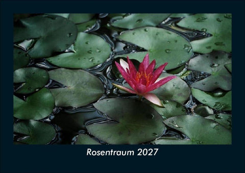 Rosentraum 2027 Fotokalender DIN A5