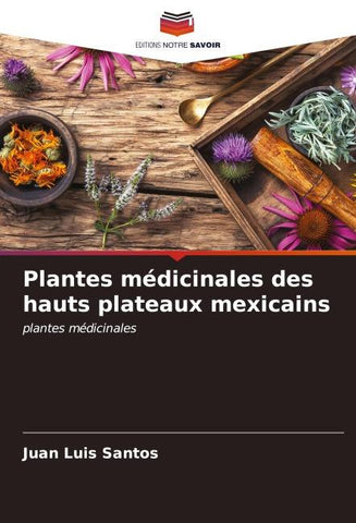 Plantes médicinales des hauts plateaux mexicains