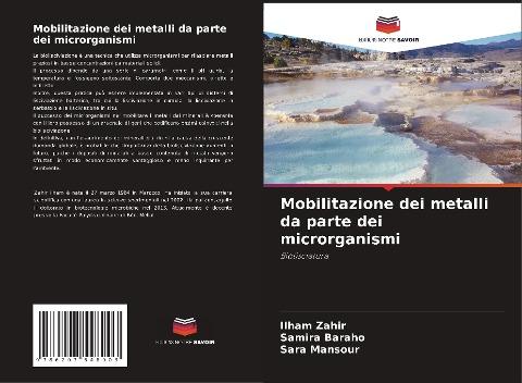 Mobilitazione dei metalli da parte dei microrganismi
