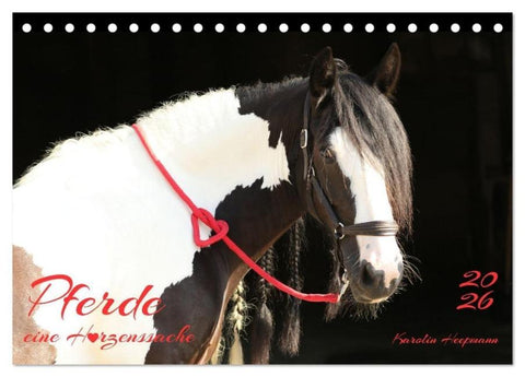 Pferde - eine Herzenssache (Tischkalender 2026 DIN A5 quer), CALVENDO Monatskalender