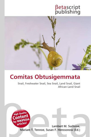 Comitas Obtusigemmata