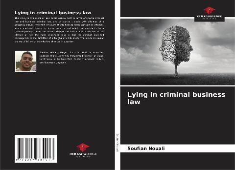 Lying in criminal business law