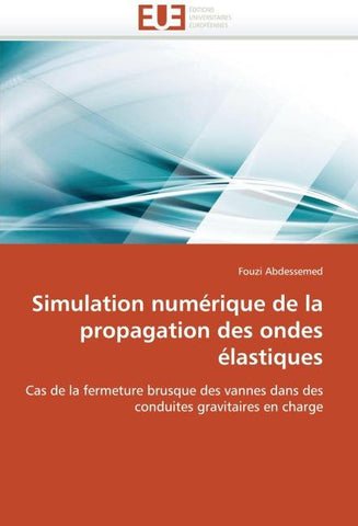 Simulation numérique de la propagation des ondes élastiques