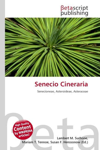 Senecio Cineraria