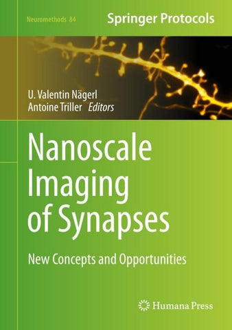 Nanoscale Imaging of Synapses