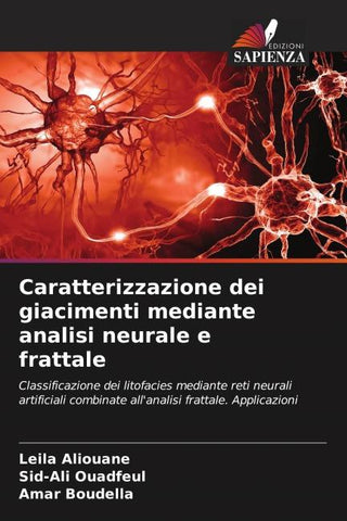 Caratterizzazione dei giacimenti mediante analisi neurale e frattale