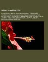 Signaltransduktion
