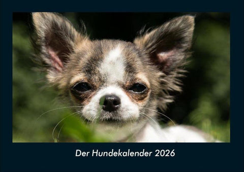 Der Hundekalender 2026 Fotokalender DIN A4
