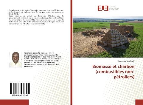 Biomasse et charbon (combustibles non-pétroliers)