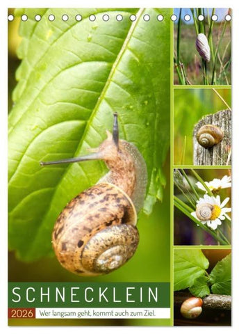 Schnecklein (Tischkalender 2026 DIN A5 hoch), CALVENDO Monatskalender