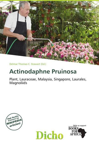 Actinodaphne Pruinosa